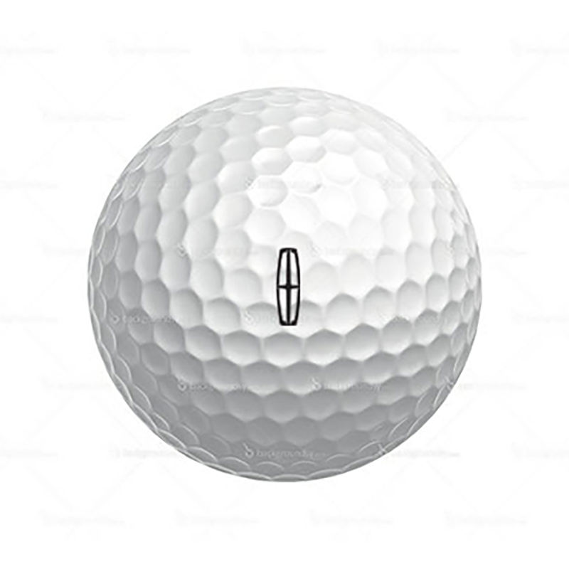 Pro V1 Golf Balls (Dozen)